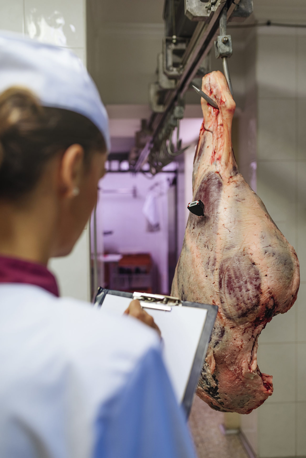 Abwassertechnik, Eine Frau, die von hinten zu sehen ist mit einer Kontrollzettel in der Hand, die eine hängende Fleischkeule auf ihre Qualität überprüft